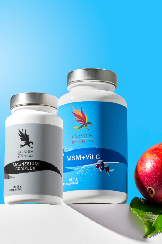 MSM z wit. C + Magnesium Complex -25%