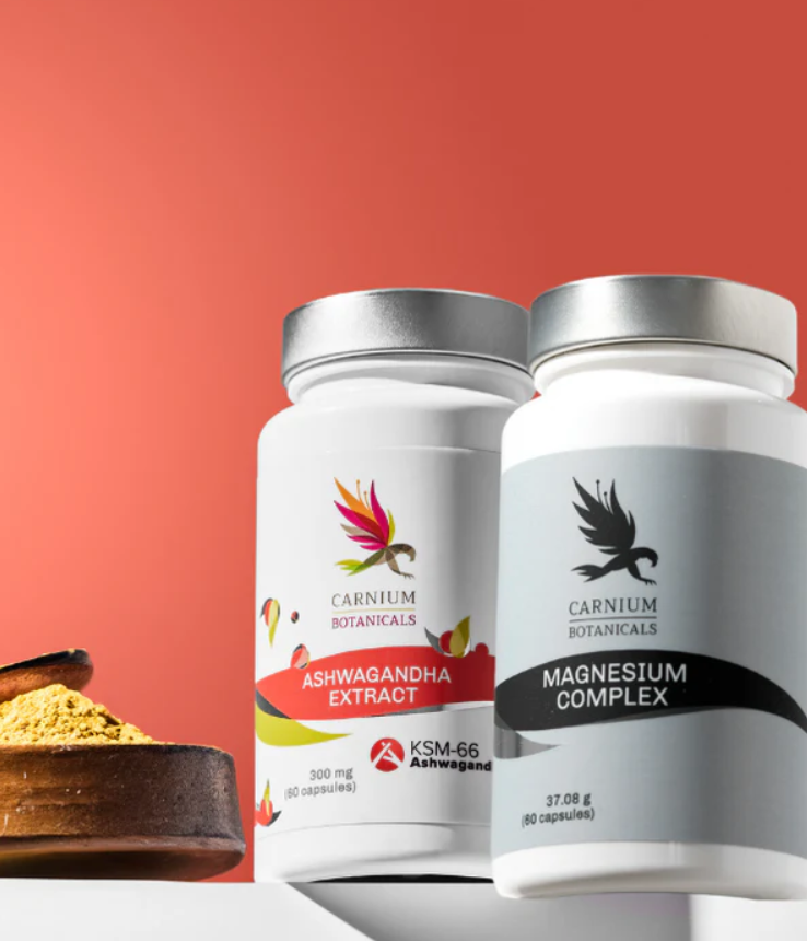 Ekstrakt z Ashwagandhy + Magnesium Complex -15%